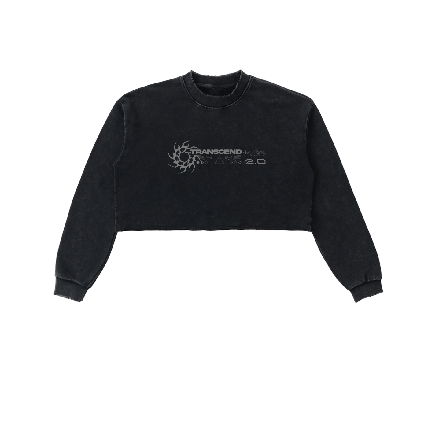 2.0 CROPPED_SWEATSHIRT [black]