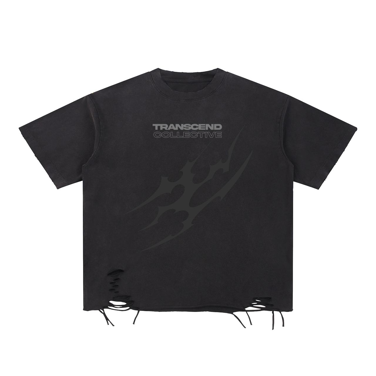 TRANSCEND RAW EDGE _TEE [black]