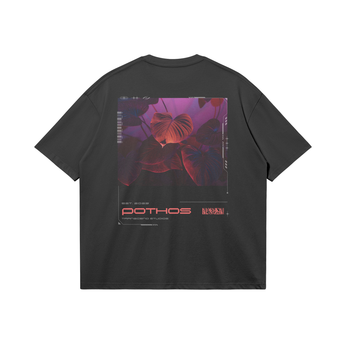 Pothos | Oversized Boxy T-Shirt (2 Colors)